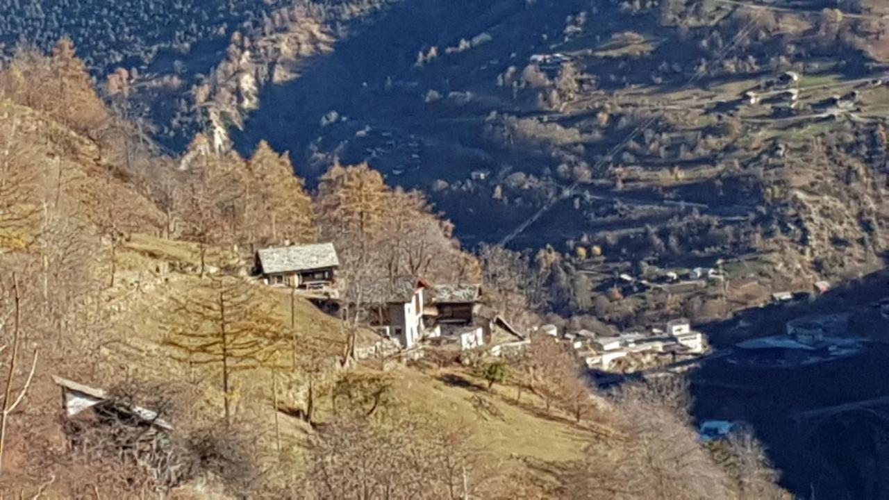 Chalet La Paz With Hotpot And Sauna Βίλα Törbel Εξωτερικό φωτογραφία