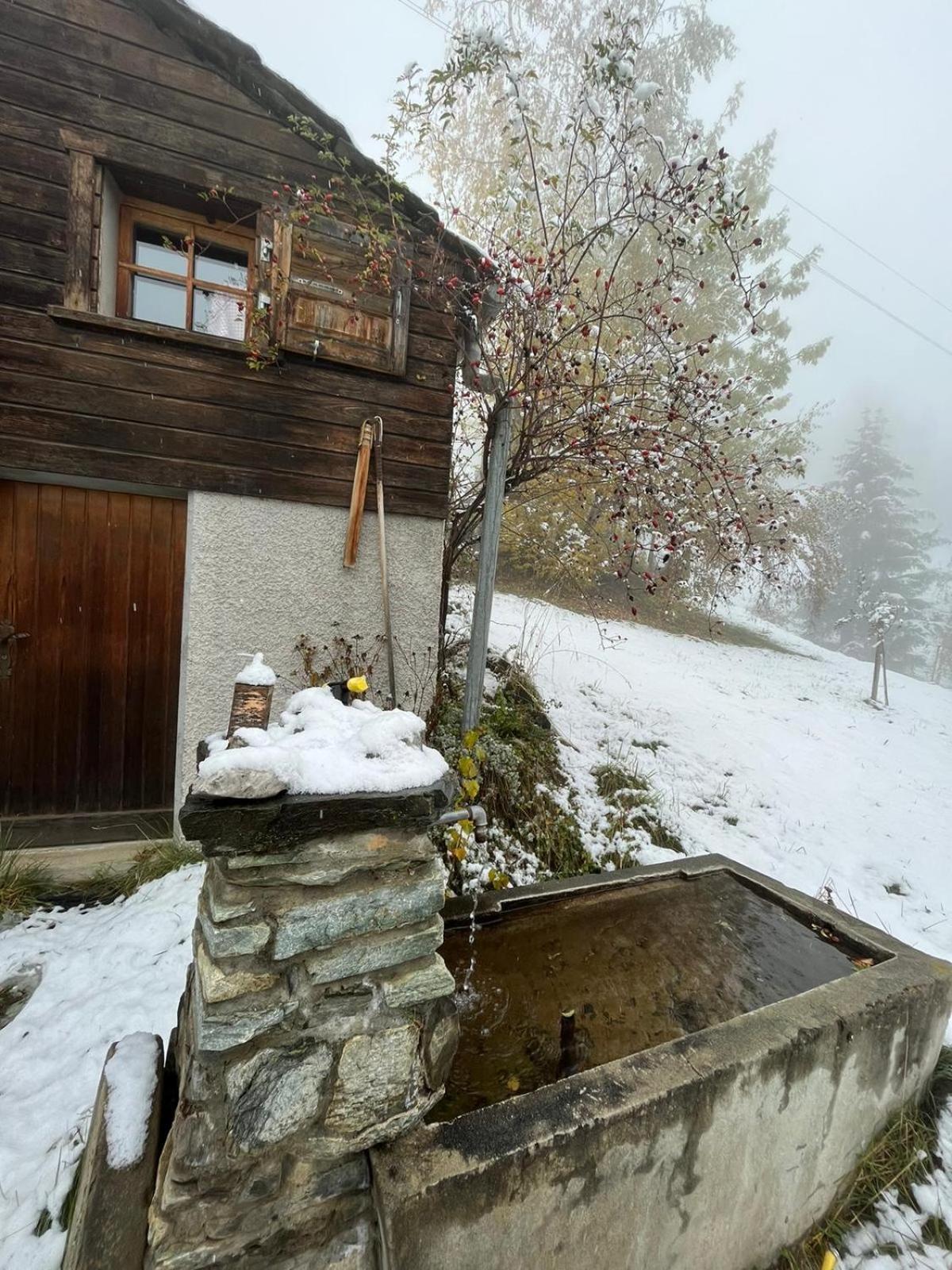 Chalet La Paz With Hotpot And Sauna Βίλα Törbel Εξωτερικό φωτογραφία