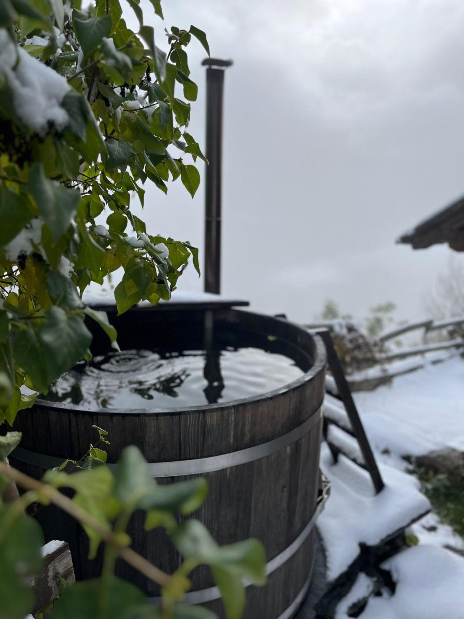 Chalet La Paz With Hotpot And Sauna Βίλα Törbel Εξωτερικό φωτογραφία